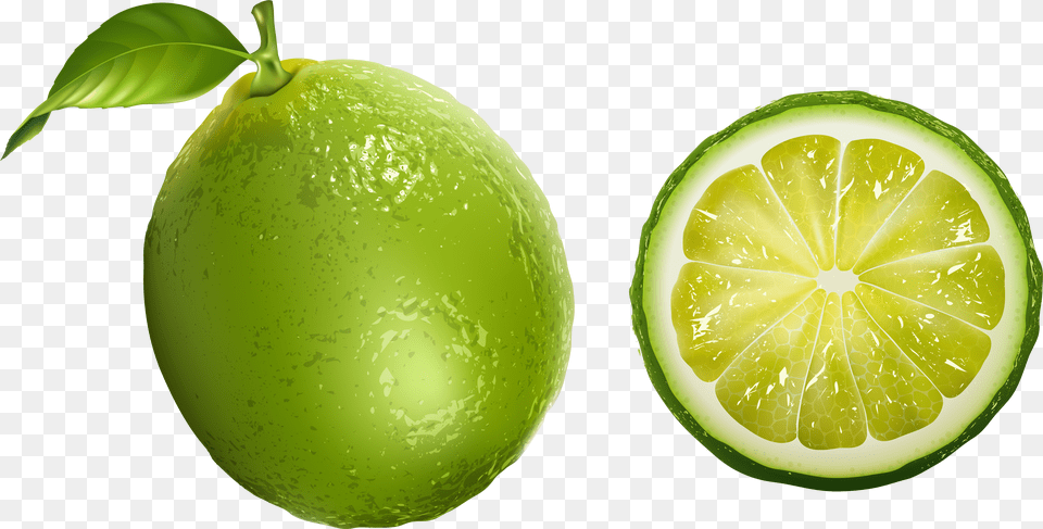 Lime Clipart Transparent Background Png