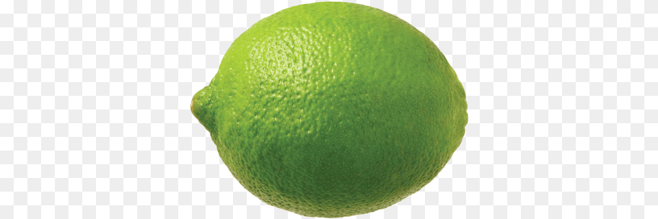 Lime Free Lime Fruit, Produce, Citrus Fruit, Food, Plant Png Image
