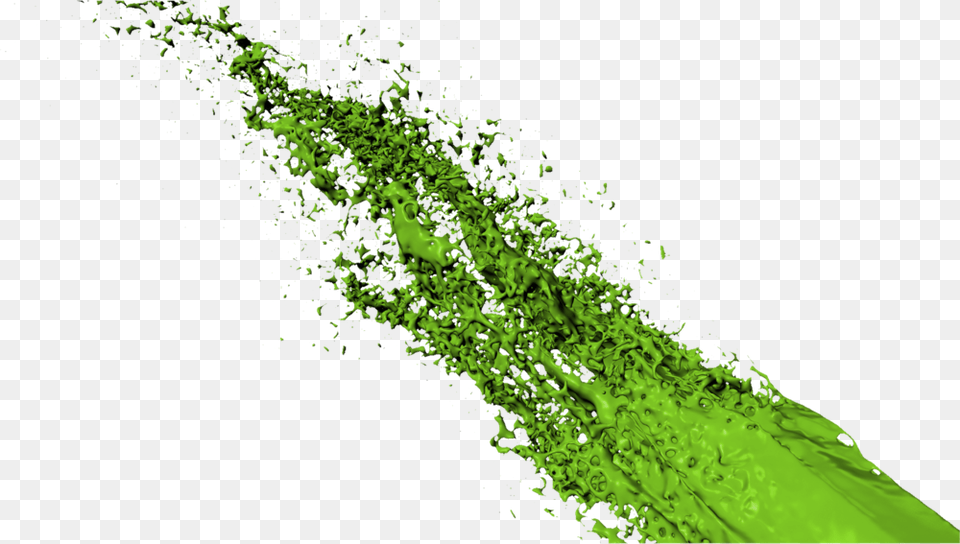 Lime Green Paint, Powder, Adult, Bride, Female Free Png