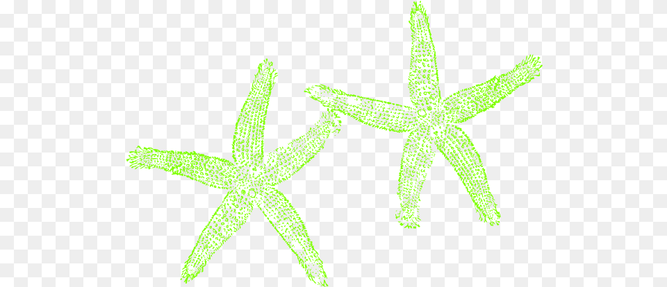 Lime Green Starfish Clipart Lovely, Animal, Sea Life, Invertebrate Free Png Download