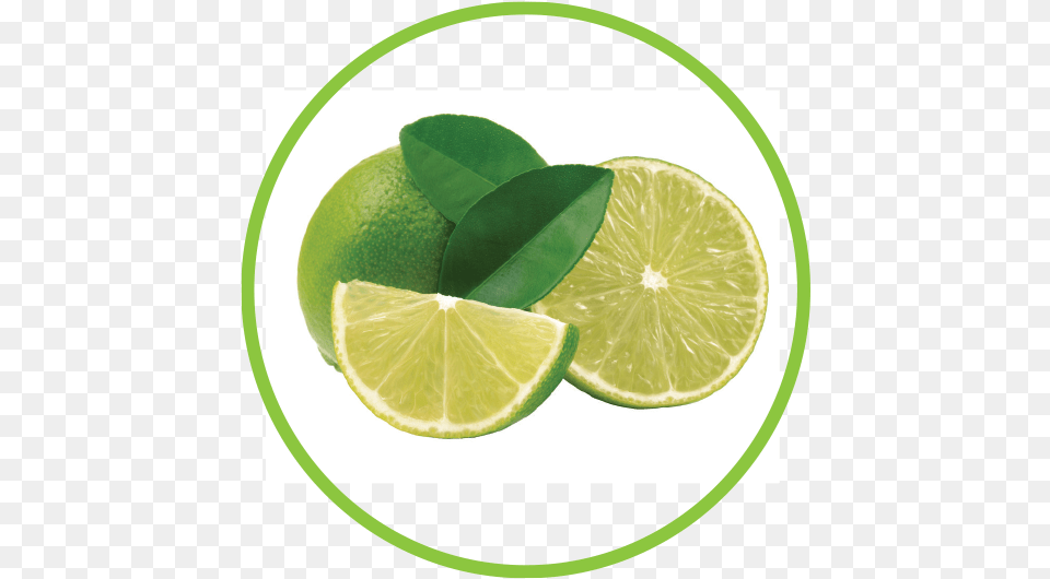 Lime Key Lime, Citrus Fruit, Food, Fruit, Plant Png Image