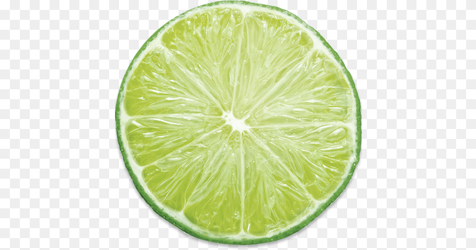 Lime Lime, Citrus Fruit, Food, Fruit, Plant Free Transparent Png