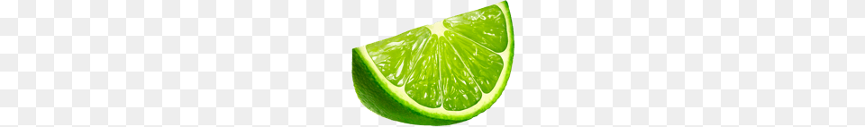 Lime Slice, Citrus Fruit, Food, Fruit, Plant Free Transparent Png