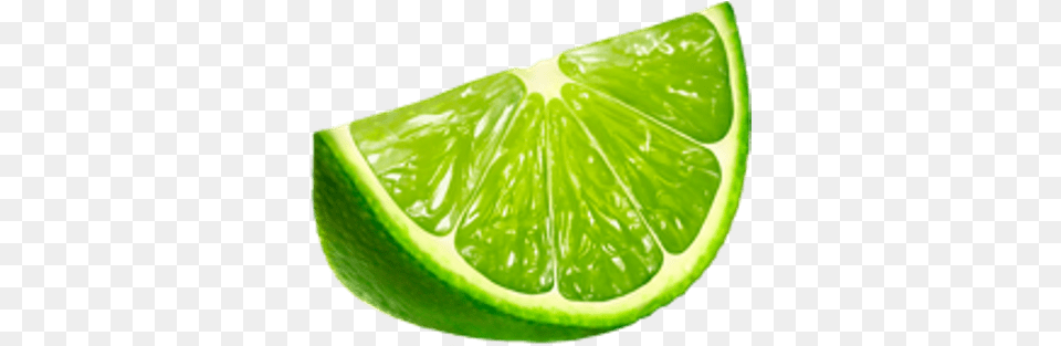 Lime Slice Background Lime Slice, Citrus Fruit, Food, Fruit, Plant Png Image
