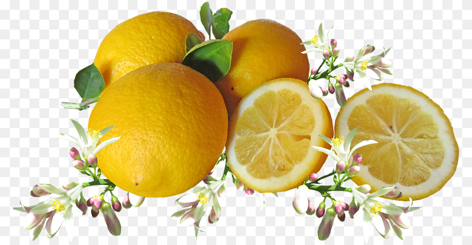 Lime Slice Cytrusy Vippng Limoni, Citrus Fruit, Food, Fruit, Grapefruit Png Image