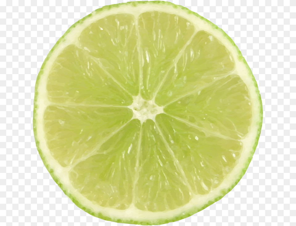 Lime Slice Lime Slice Background, Citrus Fruit, Food, Fruit, Plant Png