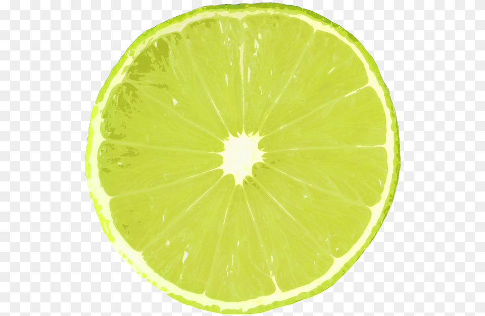 Lime Slice Of Lemon, Citrus Fruit, Food, Fruit, Plant Free Png