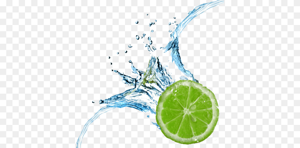 Lime Splash Lemon Drop In Water, Citrus Fruit, Food, Fruit, Plant Png