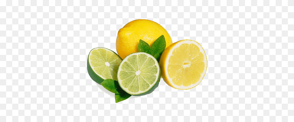 Lime Thyme And Lemon Soap, Citrus Fruit, Food, Fruit, Plant Png