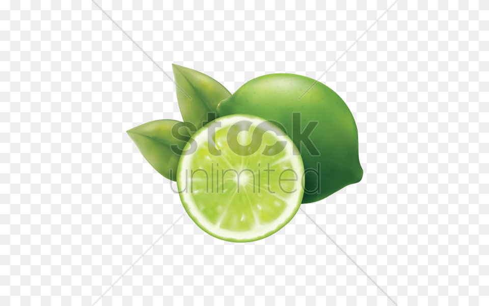 Lime Vector Image, Citrus Fruit, Food, Fruit, Plant Free Png