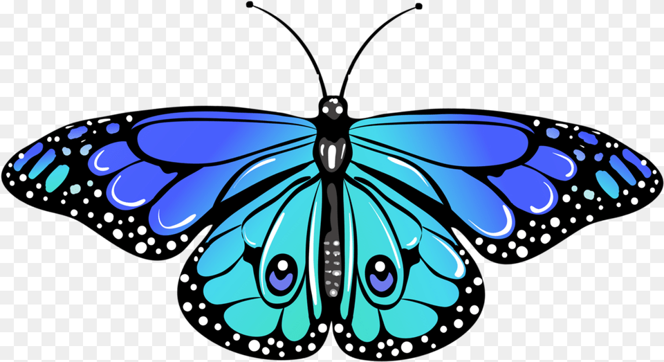 Limenitis, Animal, Butterfly, Insect, Invertebrate Png