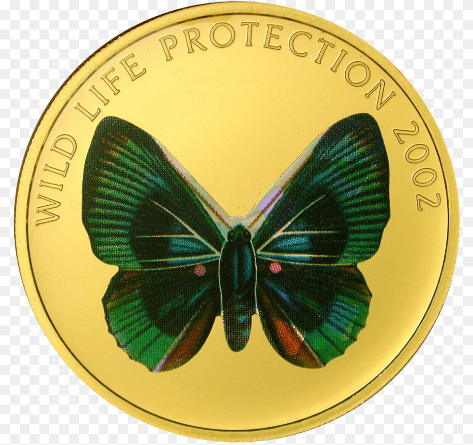Limenitis, Gold, Coin, Money Free Transparent Png