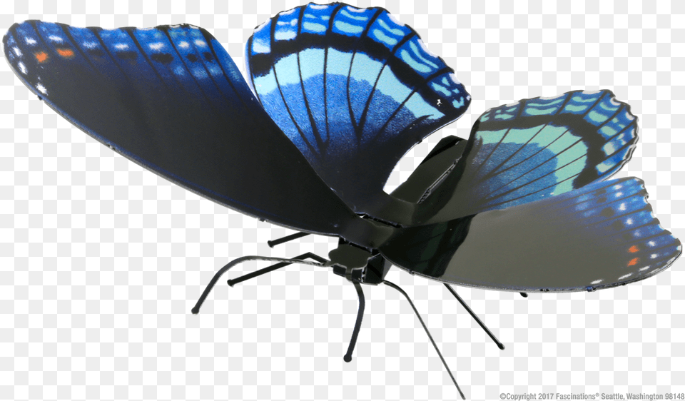 Limenitis Arthemis, Animal, Butterfly, Insect, Invertebrate Free Png