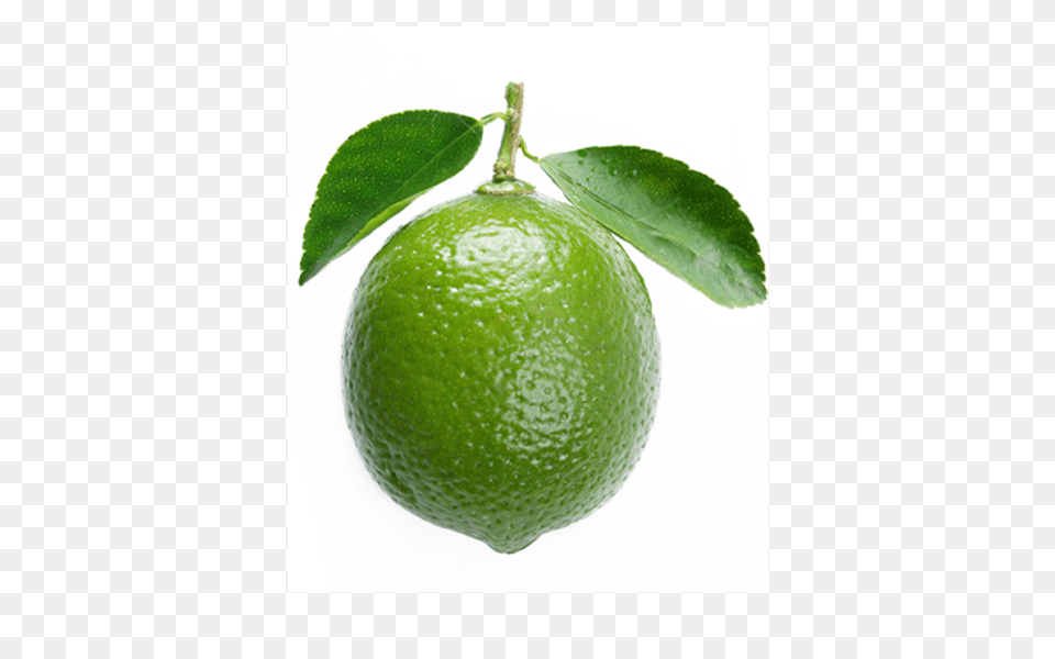 Limes Fw, Citrus Fruit, Food, Fruit, Lime Free Png Download