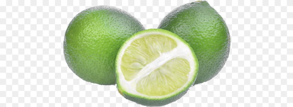 Limes Persian Lime, Plant, Citrus Fruit, Food, Fruit Free Png