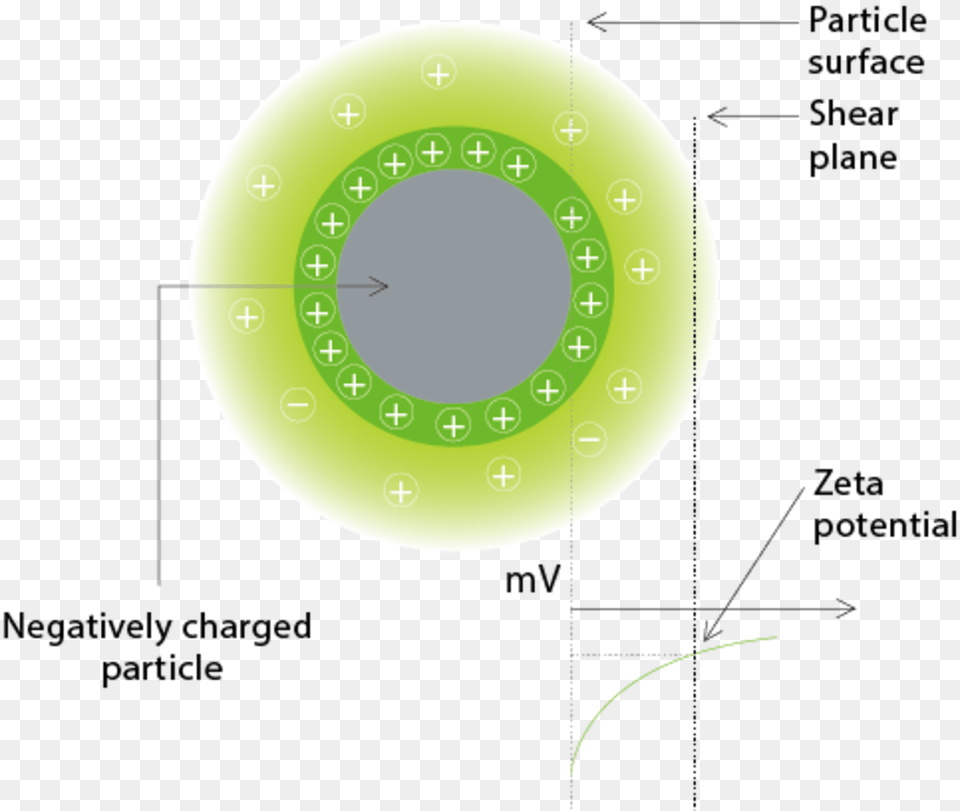 Limit Of Zeta Potential, Green, Analog Clock, Clock Png