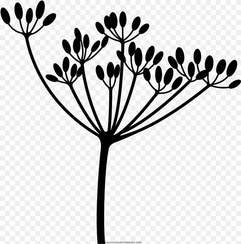 Limited Dandelion Coloring Pages, Gray Png Image
