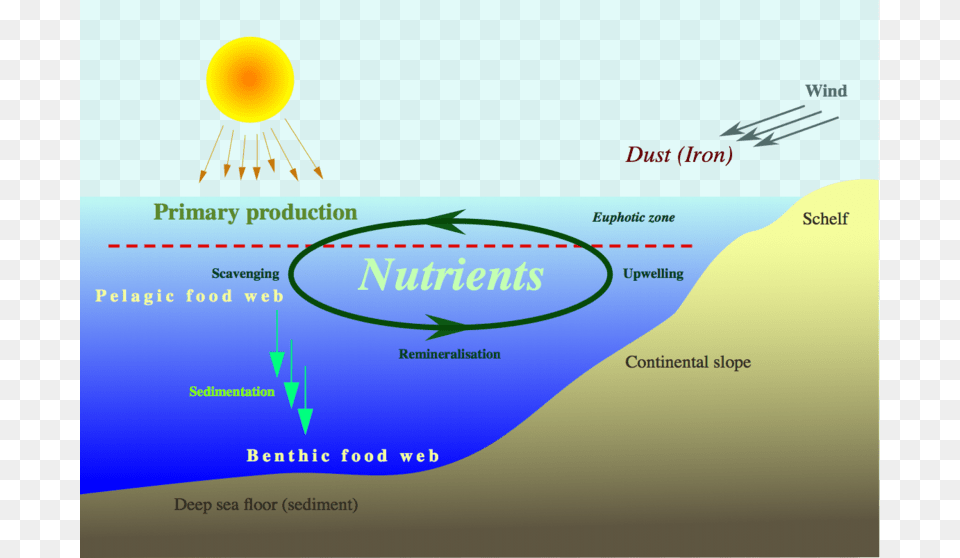 Limiting Nutrient Of Plankton, Land, Nature, Outdoors, Sea Png Image