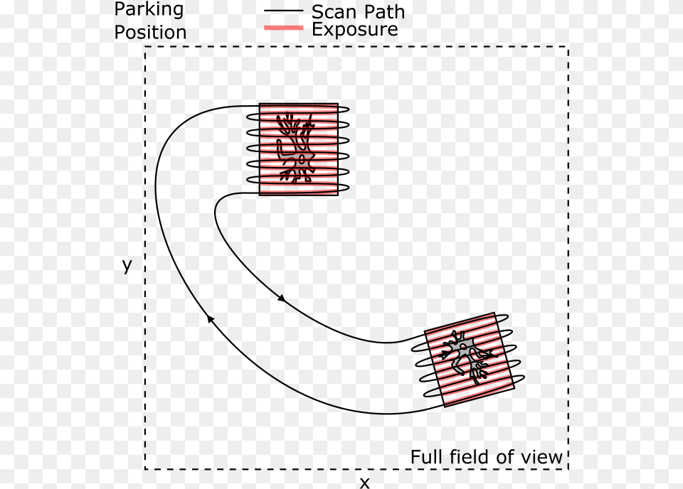 Limiting Tissue Exposure Diagram, Logo Free Png Download