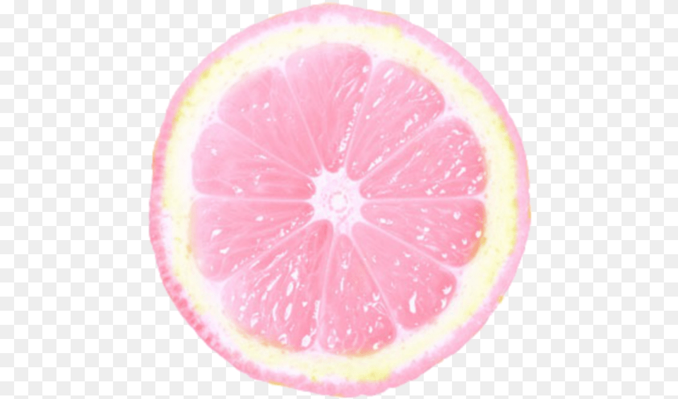 Limon Limonada Acido Tumblr Rosado Pink Equisde Meyer Lemon, Citrus Fruit, Food, Fruit, Grapefruit Free Png