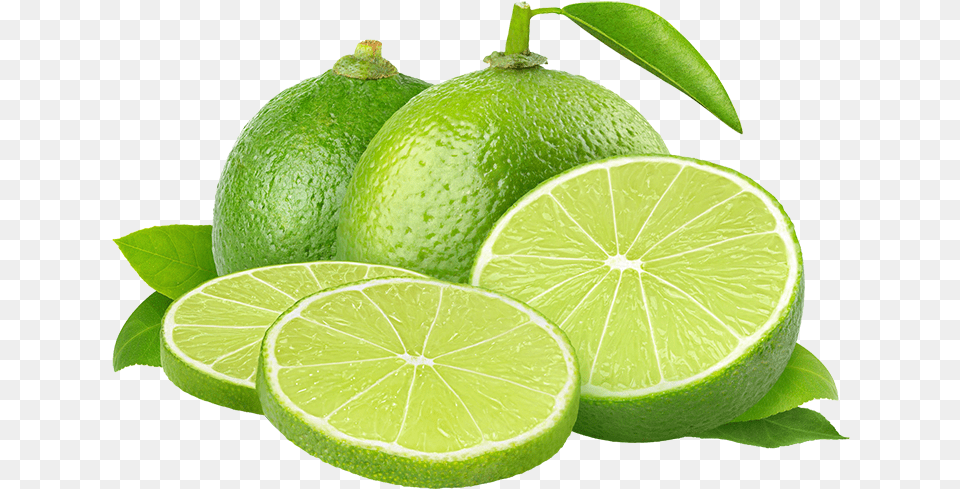 Limon Persian Lime Pictures Transparent Background Lime, Citrus Fruit, Food, Fruit, Plant Png Image