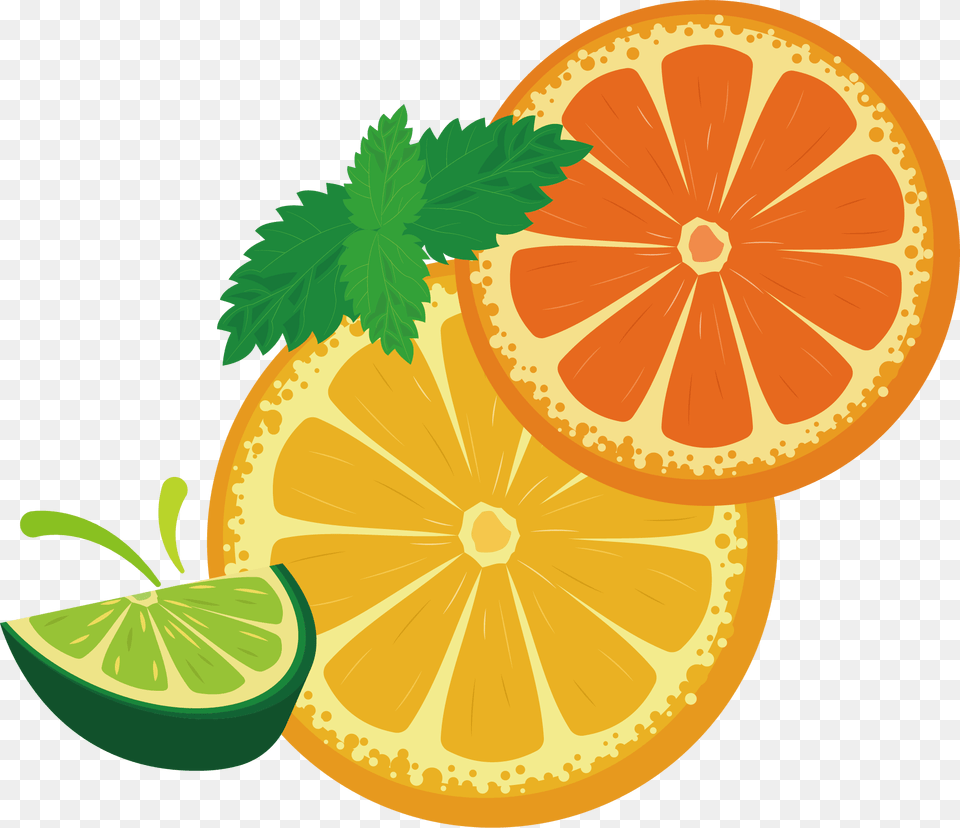 Limon Vector Orange And Lemon Vector, Citrus Fruit, Food, Fruit, Lime Png Image