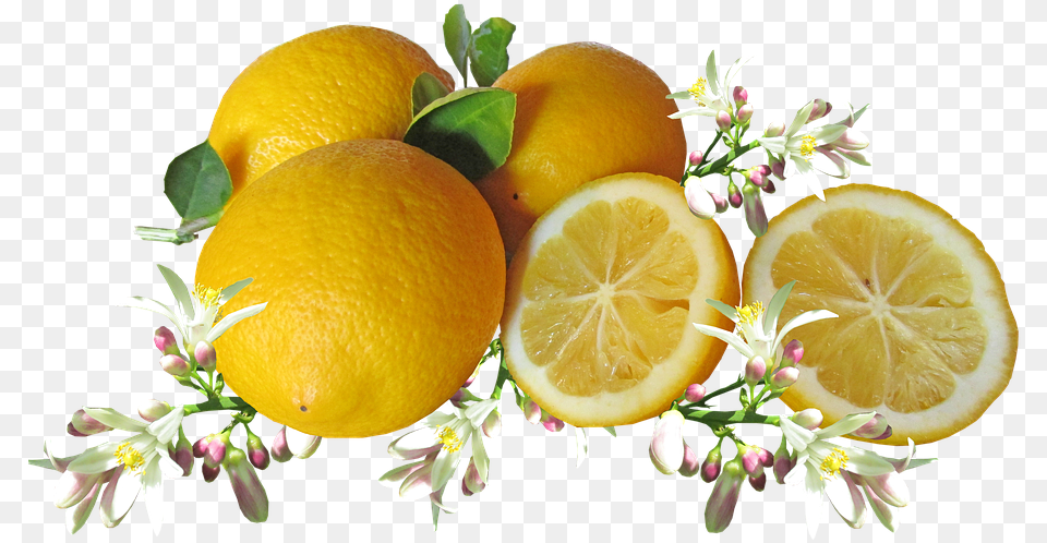 Limones Ctricos Frutas Flor Cocinar Limoni, Citrus Fruit, Food, Fruit, Grapefruit Png