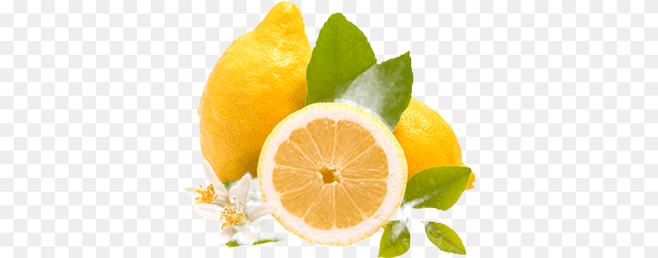 Limones Rangpur, Citrus Fruit, Food, Fruit, Lemon Png Image