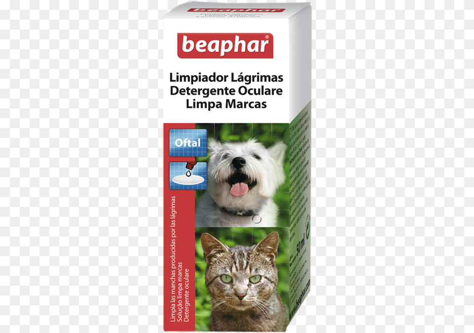 Limpiador De Lgrimas Beaphar Tear Stain Remover, Animal, Canine, Dog, Mammal Free Png Download