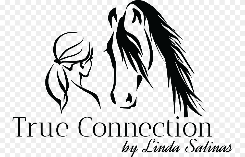 Linda J Salinas Horse Logo Arabian Horses Logo Ideas Arabian Horse Logo, Stencil, Book, Comics, Publication Free Transparent Png