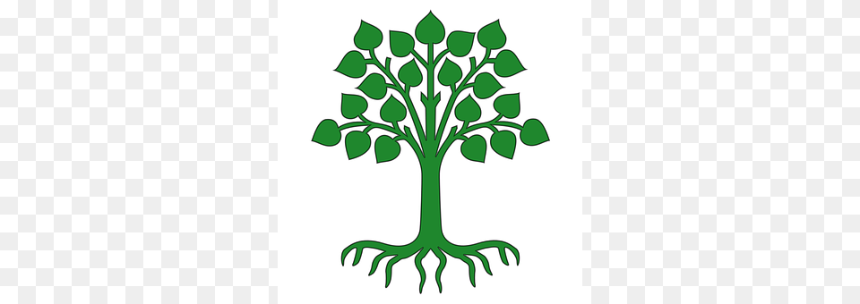 Lindau Leaf, Plant, Herbal, Herbs Png