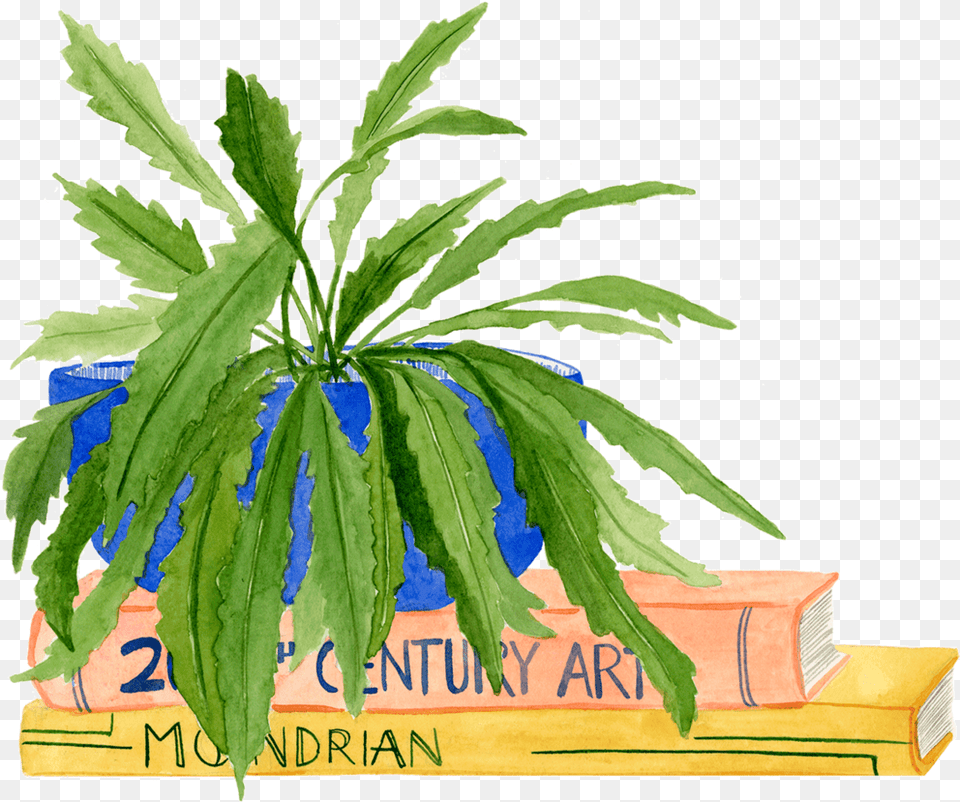 Lindsay Gardner39s Art And Illustration Portfolio Site Art, Leaf, Plant, Potted Plant, Hemp Free Png Download