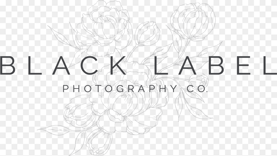 Line Art, Floral Design, Graphics, Pattern Free Png Download