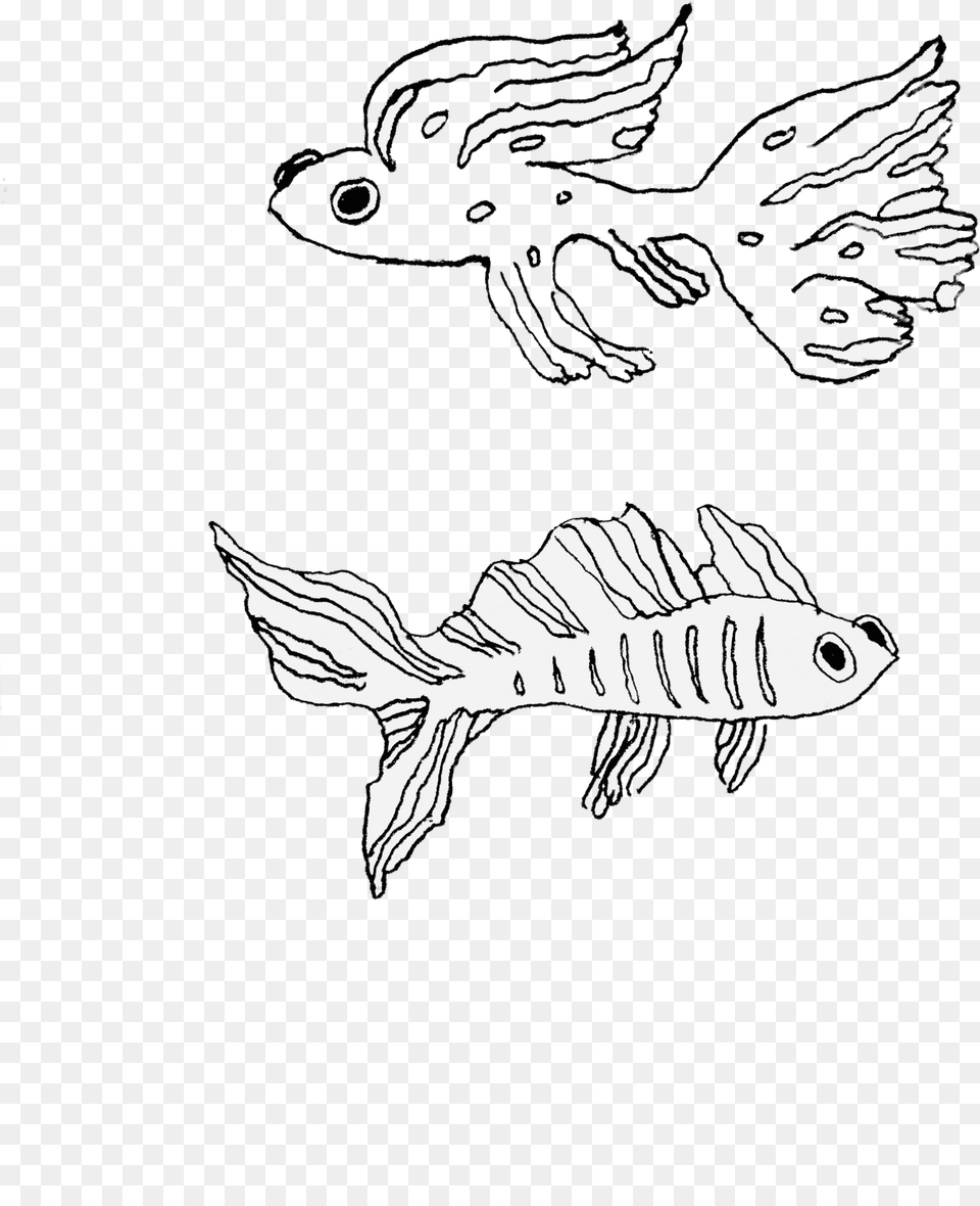 Line Art, Aquatic, Water, Animal, Fish Free Transparent Png