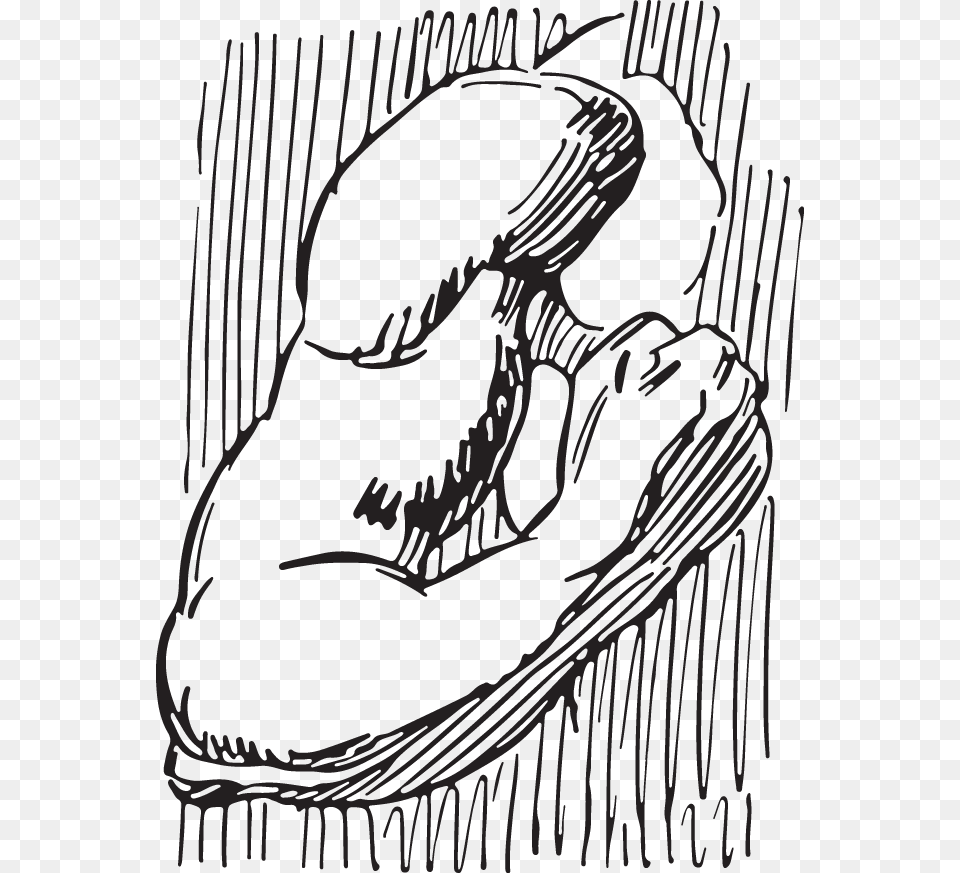 Line Art, Person Free Png Download