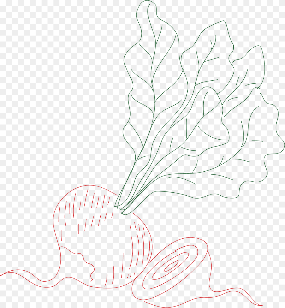 Line Art, Food, Produce Free Png