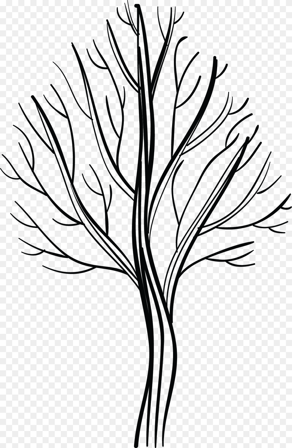 Line Art, Drawing, Plant Png Image