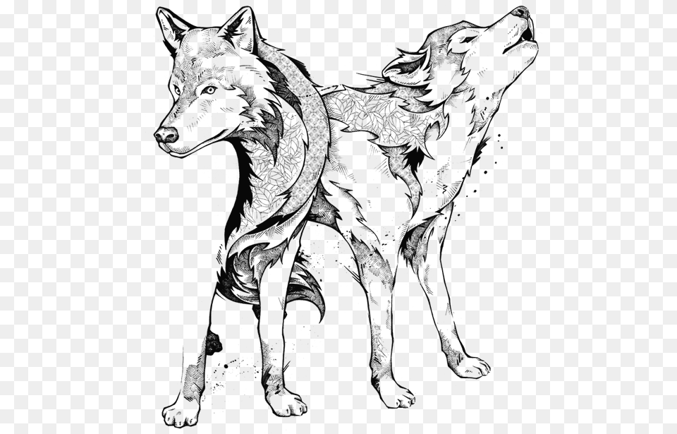 Line Art, Animal, Mammal, Wolf, Coyote Free Transparent Png