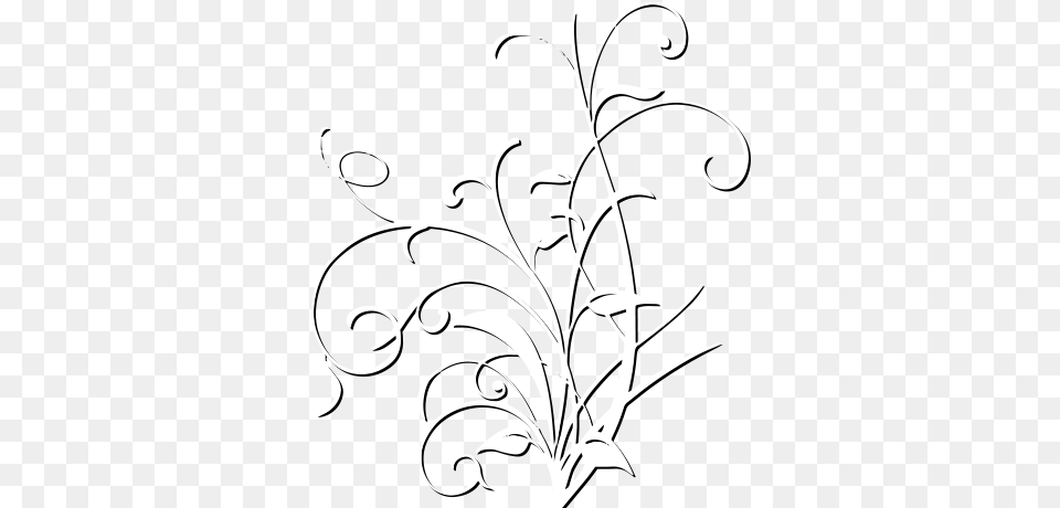 Line Art, Floral Design, Graphics, Pattern Free Transparent Png