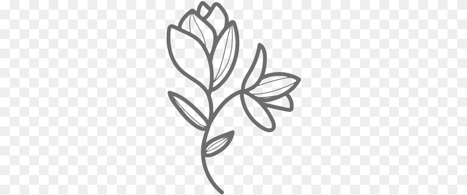 Line Art, Stencil, Flower, Plant Free Png