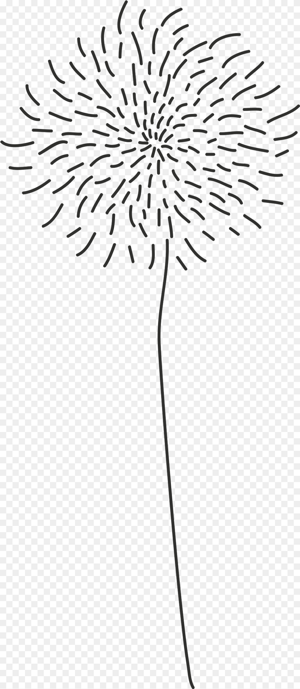 Line Art, Flower, Plant, Blackboard, Fireworks Free Png