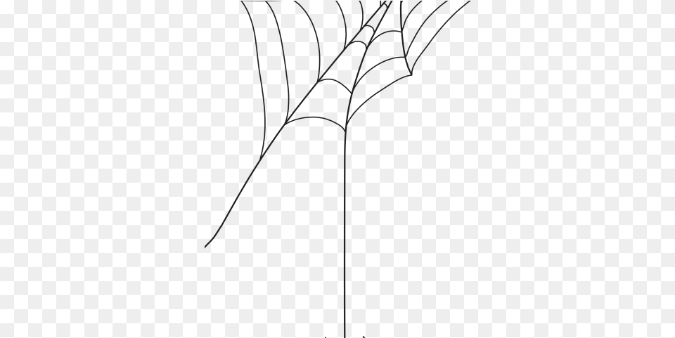 Line Art, Spider Web Free Png