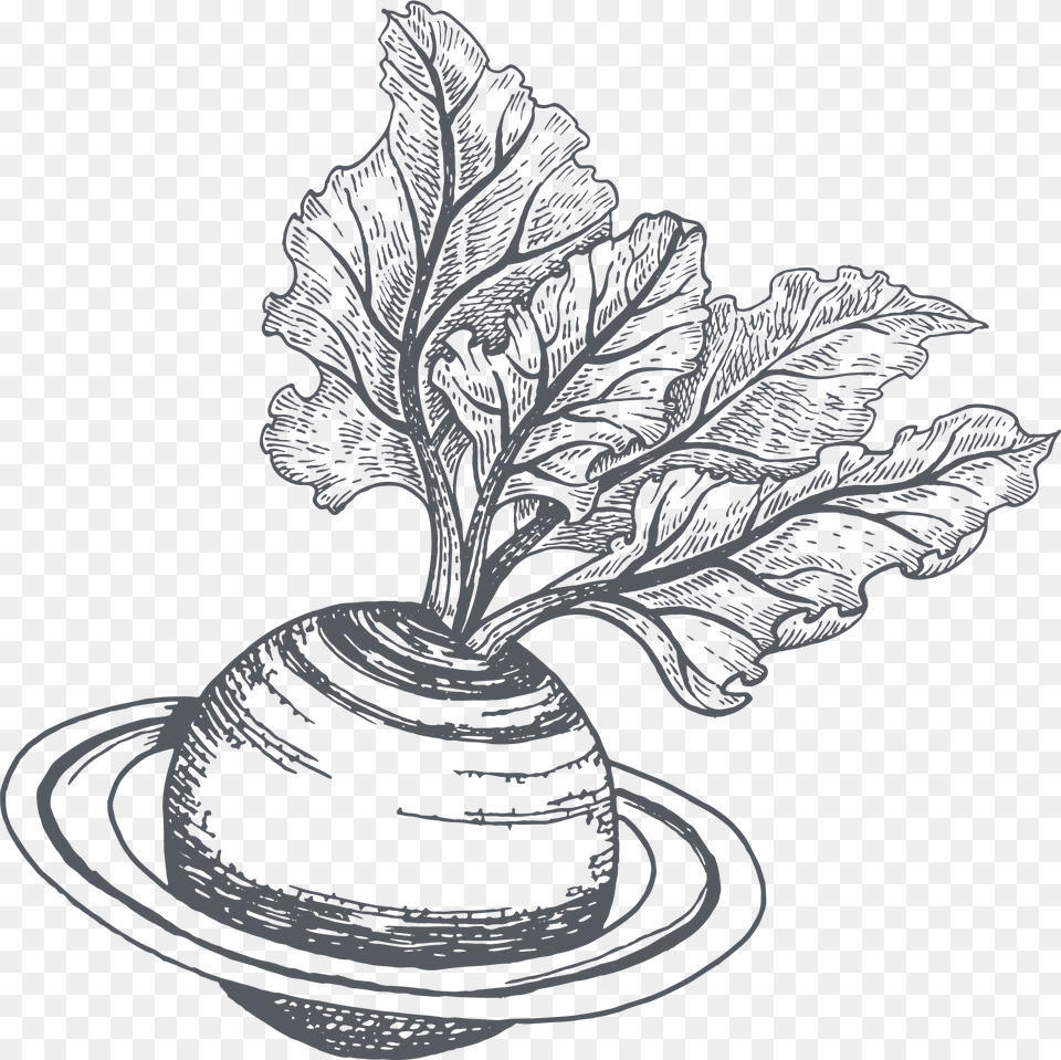 Line Art, Green, Plant, Food, Produce Free Transparent Png
