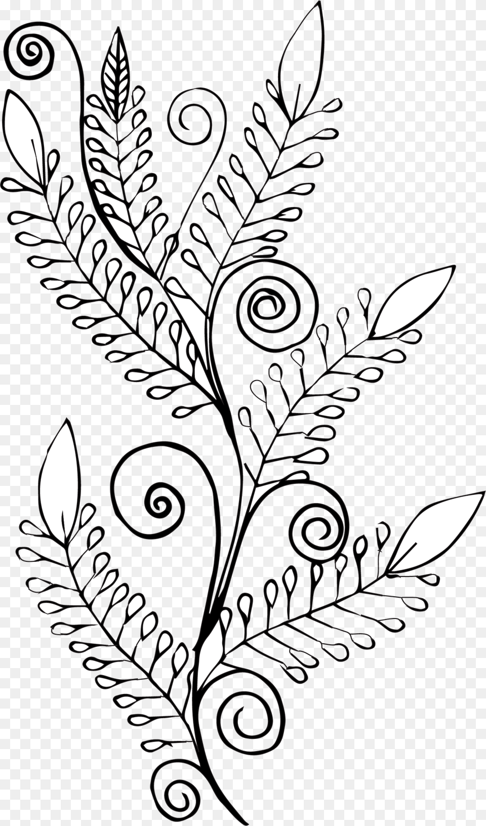 Line Art, Floral Design, Graphics, Pattern, Drawing Free Png Download