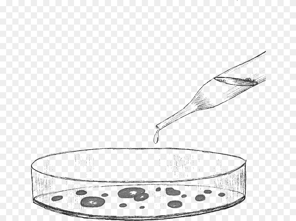 Line Art, Cooking Pan, Cookware, Animal, Bird Free Transparent Png