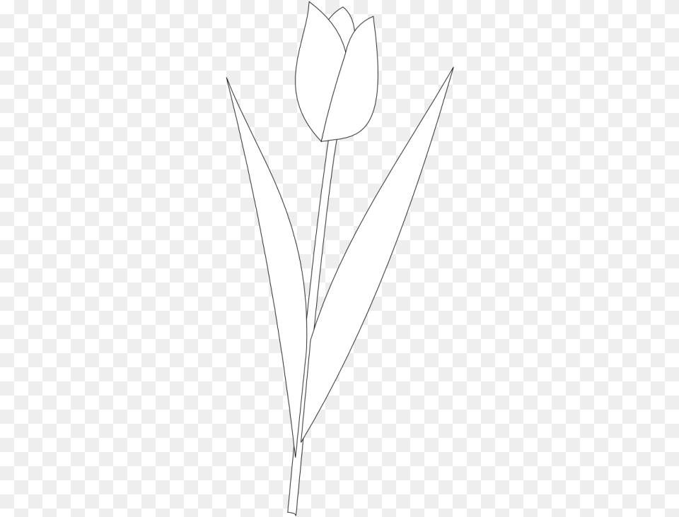 Line Art, Leaf, Plant, Flower, Rose Png