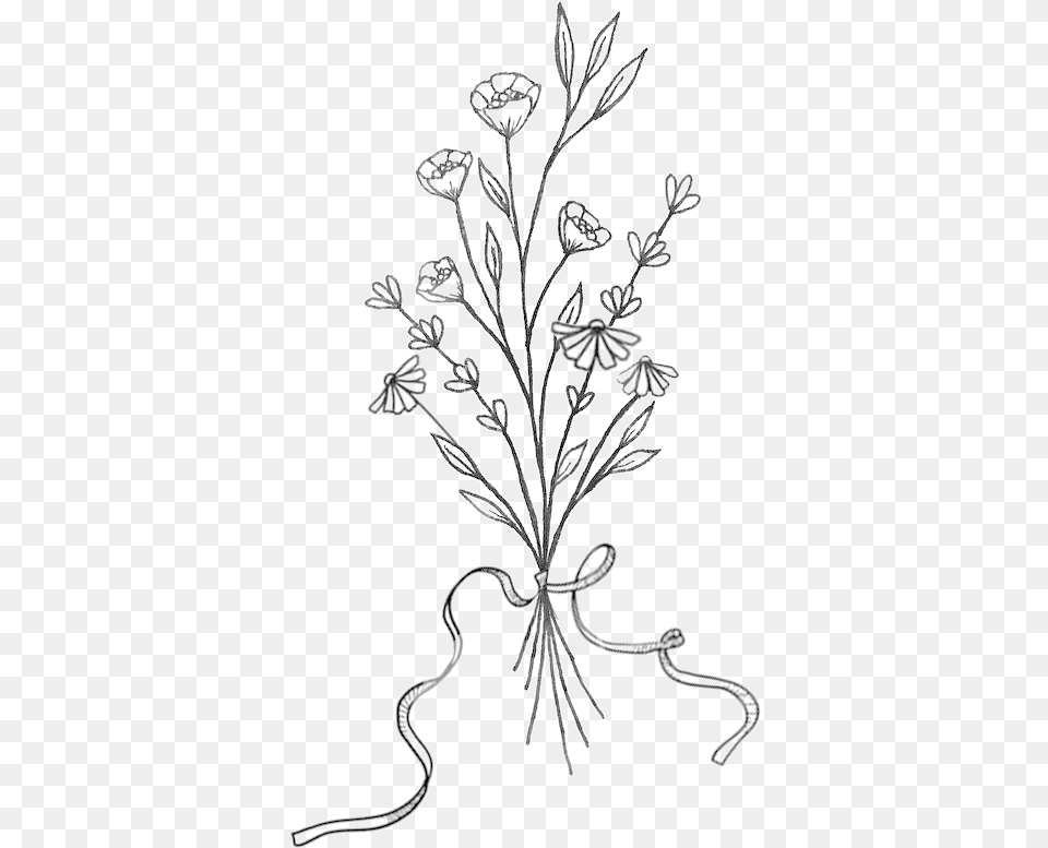 Line Art, Pattern, Plant, Drawing, Floral Design Png