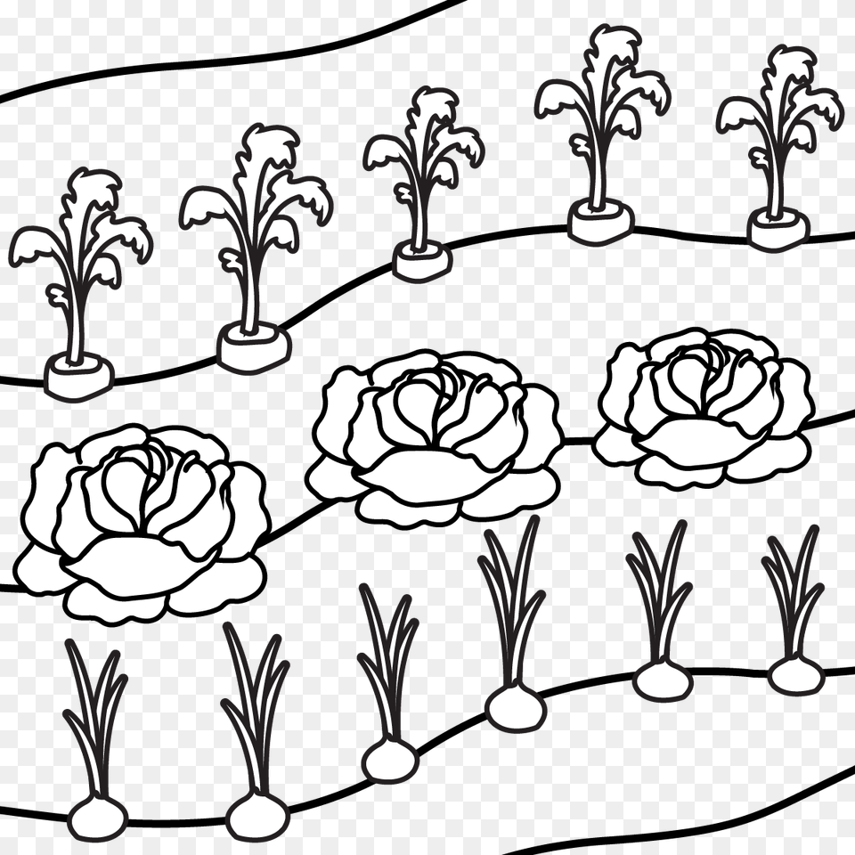 Line Art, Floral Design, Graphics, Pattern, Drawing Free Png