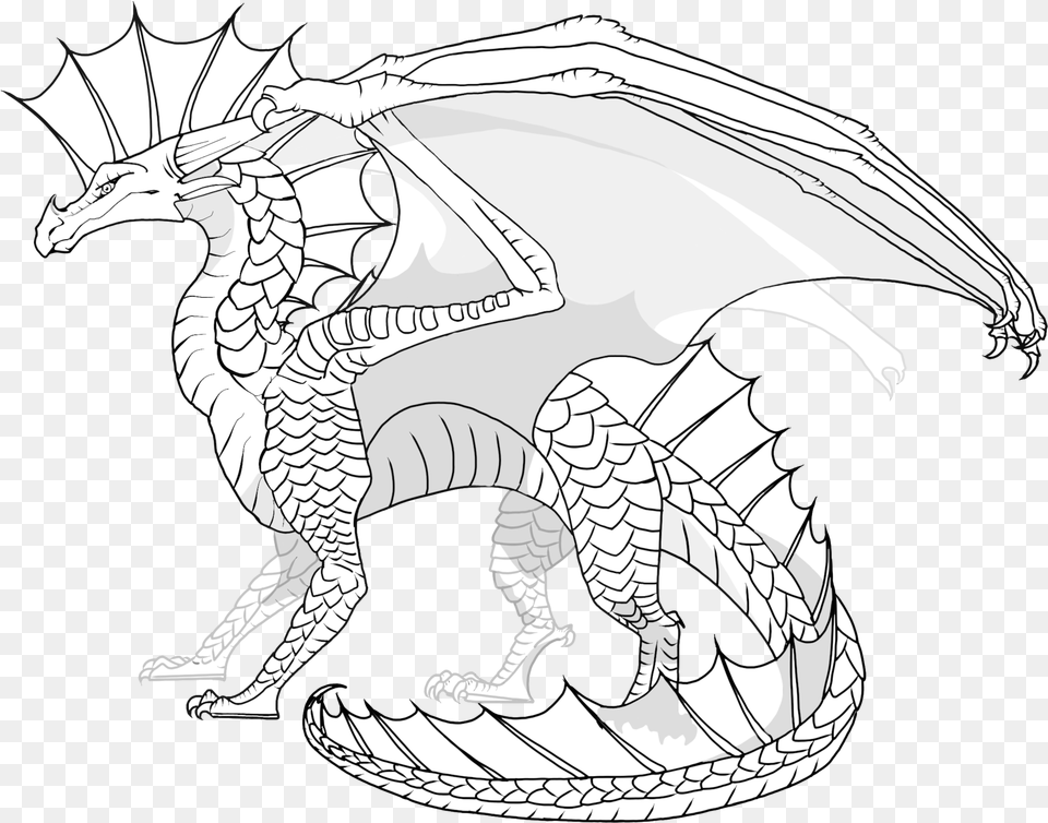 Line Art Dragon Character Legendary Creature Wings Of Fire Dragon Lineart, Baby, Person, Face, Head Free Png