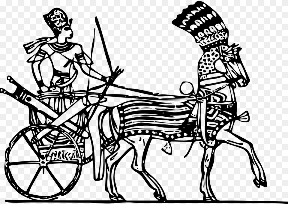 Line Art Drawing Ancient Chariot Horse And Cart Egyptian Chariot, Gray Png